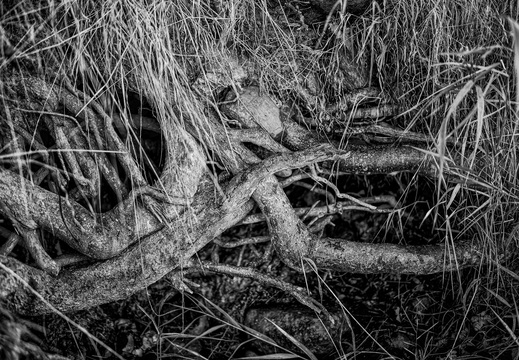 © Ralf Schlieper