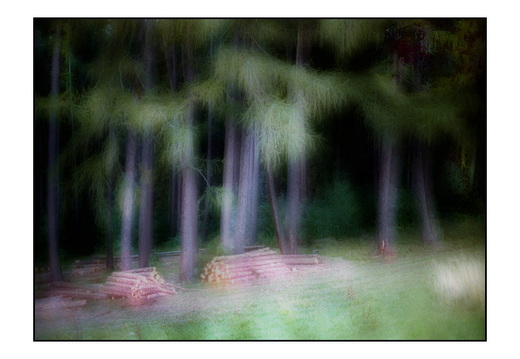 © Rolf Rock