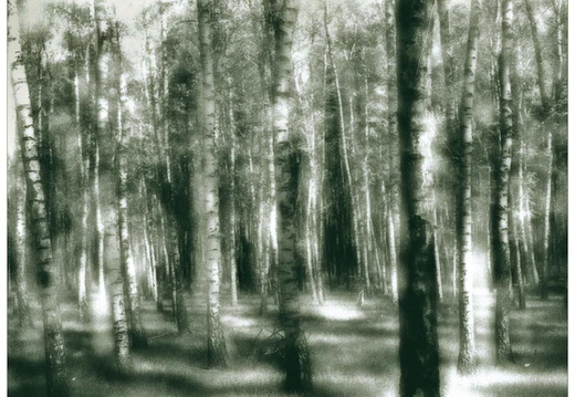 © Rolf Rock