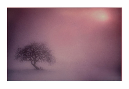 © Rolf Rock