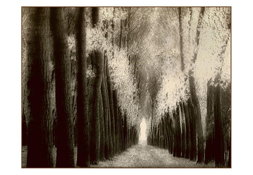 © Rolf Rock