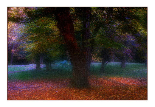 © Rolf Rock