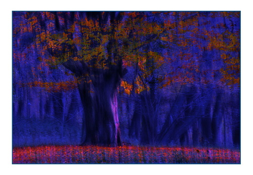 © Rolf Rock