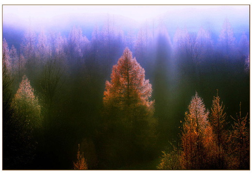© Rolf Rock