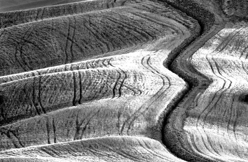 rolf-rock-black-and-white-tsc40-037.jpg