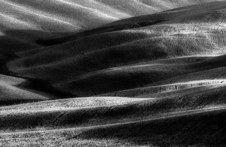 rolf-rock-black-and-white-tsc61-038.jpg