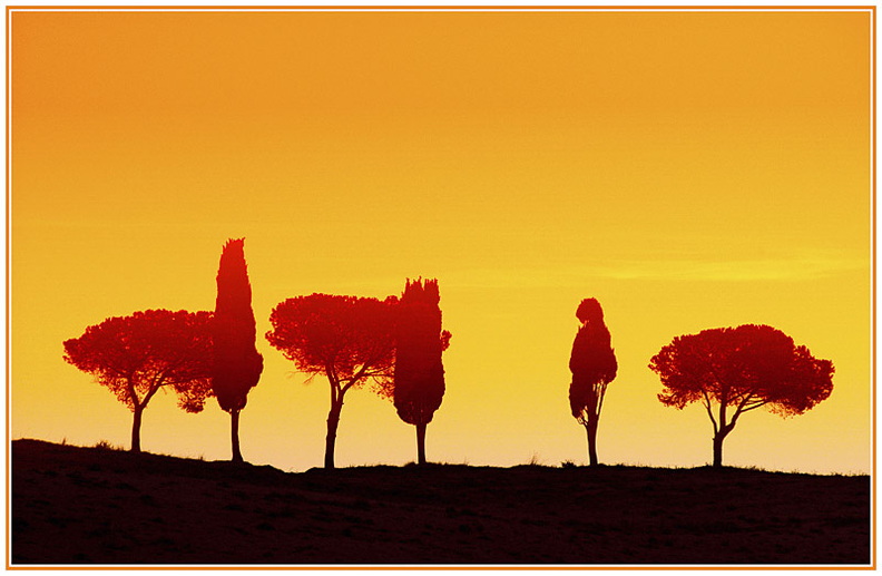 rolf-rock-toscana-1251254-003.jpg