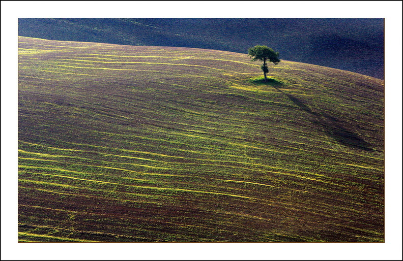 rolf-rock-toscana-img_9158-033.jpg