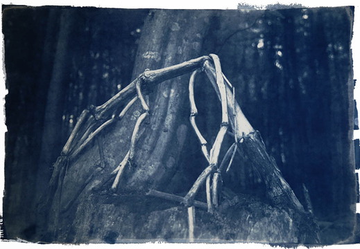 © Josef Safranek