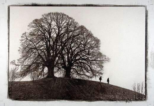 © Josef Safranek