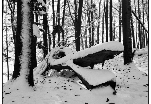 © Josef Safranek