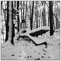 Der Winter naht...