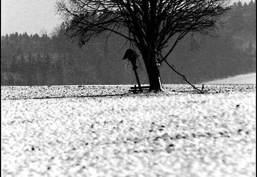 © Josef Safranek