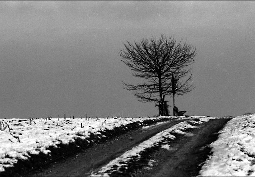 © Josef Safranek