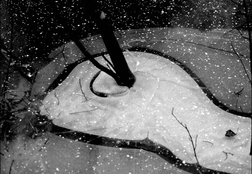 © Josef Safranek
