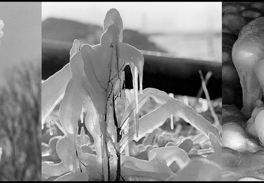 © Josef Safranek