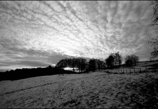 © Josef Safranek