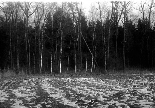 © Josef Safranek