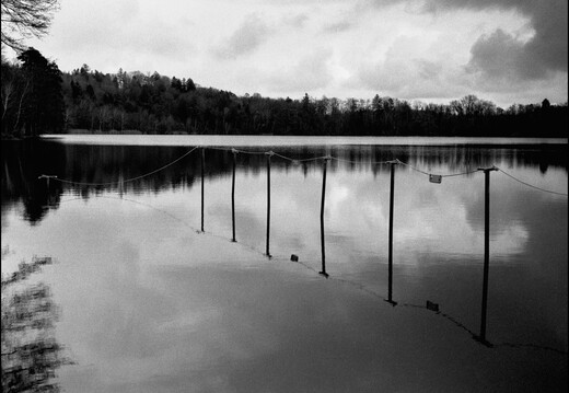 © Josef Safranek