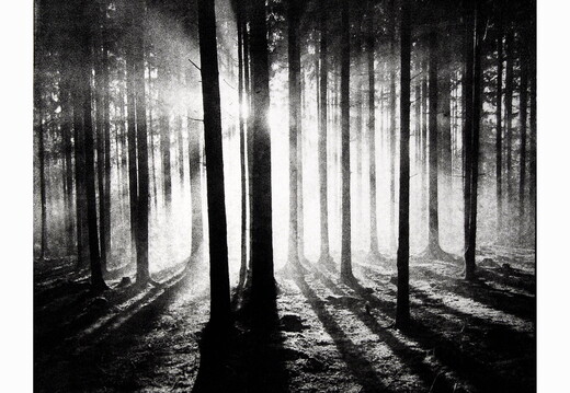 © Josef Safranek