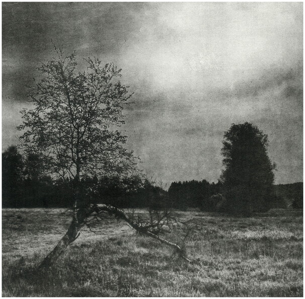 umbruch_49399111402_o.jpg