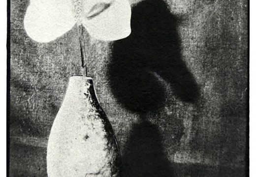 © Josef Safranek