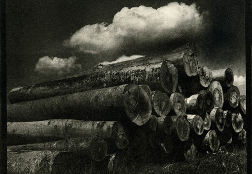 © Josef Safranek