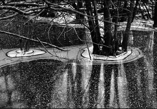 © Josef Safranek