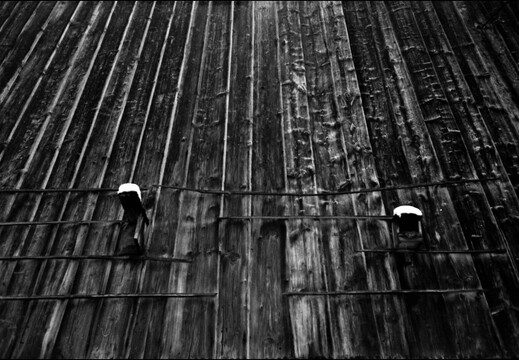 © Josef Safranek