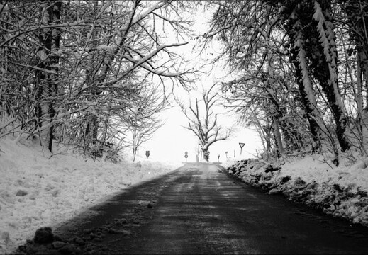 © Josef Safranek