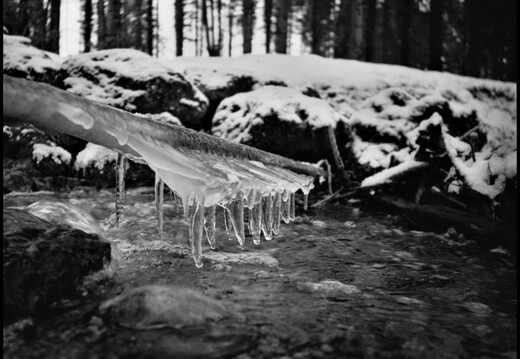 © Josef Safranek