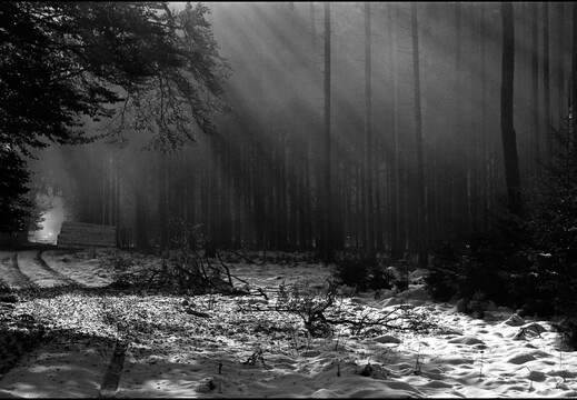 © Josef Safranek