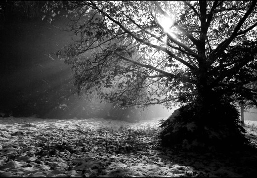 © Josef Safranek