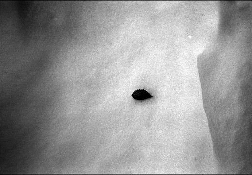 © Josef Safranek