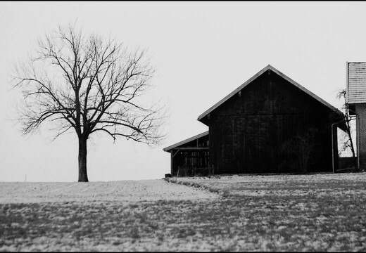 © Josef Safranek