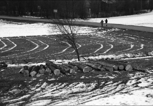 © Josef Safranek