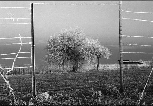 © Josef Safranek