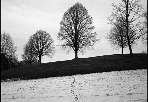 © Josef Safranek