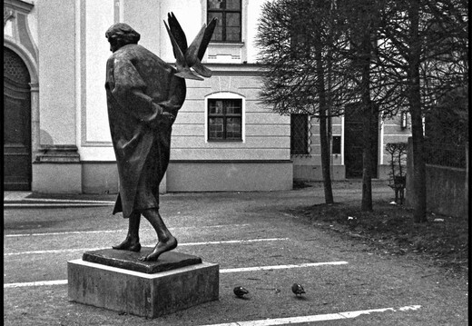 © Josef Safranek