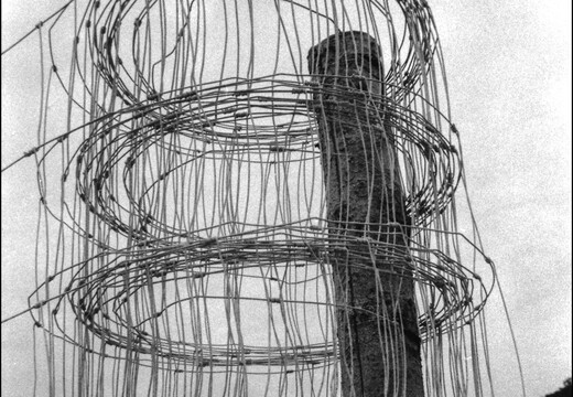 © Josef Safranek