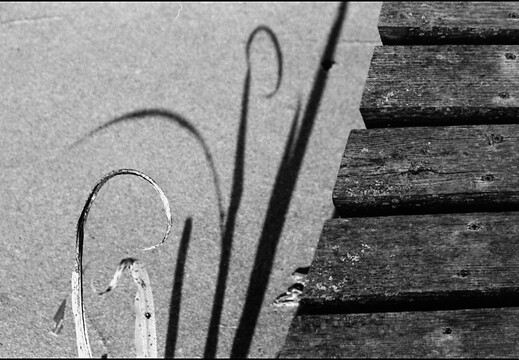 © Josef Safranek