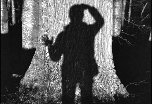 © Josef Safranek