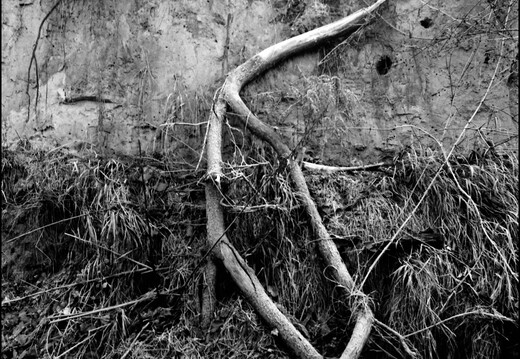 © Josef Safranek