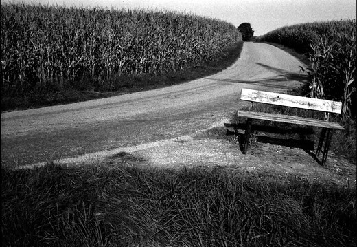 © Josef Safranek