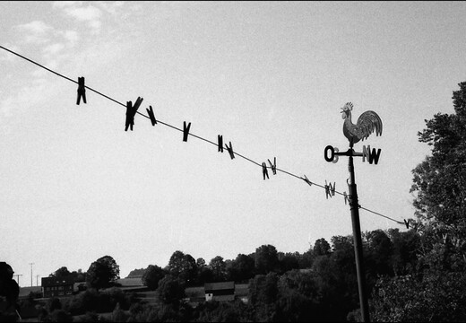 © Josef Safranek