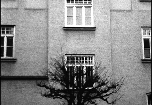 © Josef Safranek