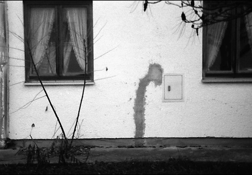 © Josef Safranek