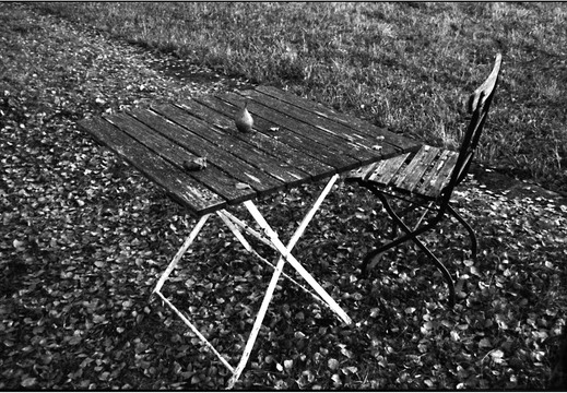 © Josef Safranek