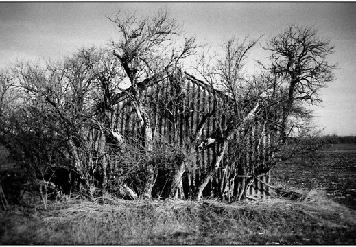© Josef Safranek