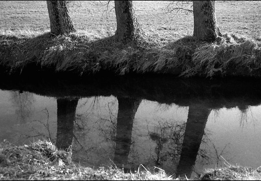 © Josef Safranek